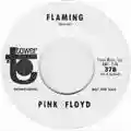 Pink Floyd Flaming
