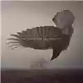 Katatonia The Fall of Hearts