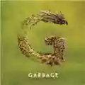 Garbage Strange Little Birds