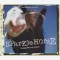 Sparklehorse Someday I Will Treat You Good
