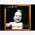 Luciano Ligabue Buon compleanno Elvis