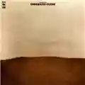 The Myrrors Entranced Earth