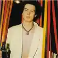 Sid Vicious Sid Sings