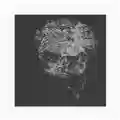 David Toop Entities Inertias Faint Beings