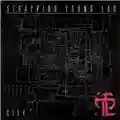 Strapping Young Lad City
