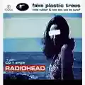 Radiohead Fake Plastic Trees