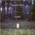 Brand New Daisy