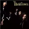 The Black Crowes Shake Your Money Maker