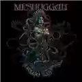 Meshuggah The Violent Sleep of Reason