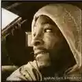 Marvin Gaye & Pink Floyd Requiem For A Dream