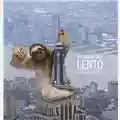 Fulvio Bozzetta Metabolismo lento