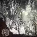 Chiral Gazing Light Eternity