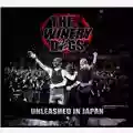 The Winery Dogs Unleashed in Japan 2013