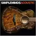 Simple Minds Acoustic