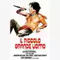 Arthur Penn Il piccolo grande uomo