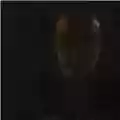 Brian Eno Reflection