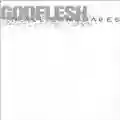 Godflesh In All Languages