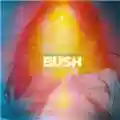 Bush Black And White Rainbows