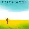 Steve Wynn Sweetness and Light