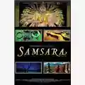 Ron Fricke Samsara