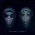 Pet Shop Boys Alternative
