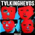 Talking Heads Remain in Light