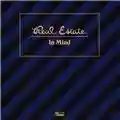 Real Estate In Mind