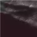 JK Flesh Posthuman