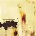 Nine Inch Nails The Downward Spiral