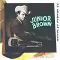 Junior Brown 12 Shades of Brown