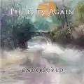 Phoenix Again Unexplored