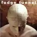 Fudge Tunnel The Complicated Futility of Ignorance