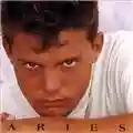 Luis Miguel Aries