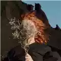 Goldfrapp Silver Eye