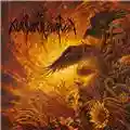 Nokturnal Mortum Verity