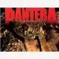 Pantera The Great Southern Trendkill