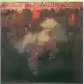 Ballettirosadimacchia Ballettirosadimacchia