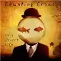 Counting Crows This Desert Life