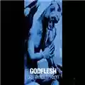 Godflesh Us and Them