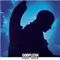 Godflesh Post Self