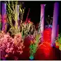 Hüsker Dü Warehouse: Songs and Stories