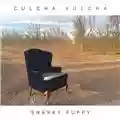 Snarky Puppy Culcha Vulcha