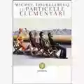 Michel Houellebecq Les particules élémentaires