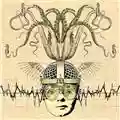 Thank You Scientist Stranger Heads Prevail