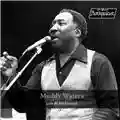 Muddy Waters Live at Rockpalast
