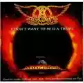 Aerosmith I Don't Want to Miss a Thing