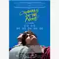 Luca Guadagnino Chiamami col tuo nome