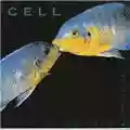 Cell Cross The River