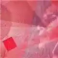 Caetano Veloso Poderes Podres