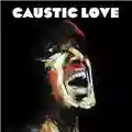 Paolo Nutini Caustic Love
